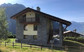 Le Bouvier